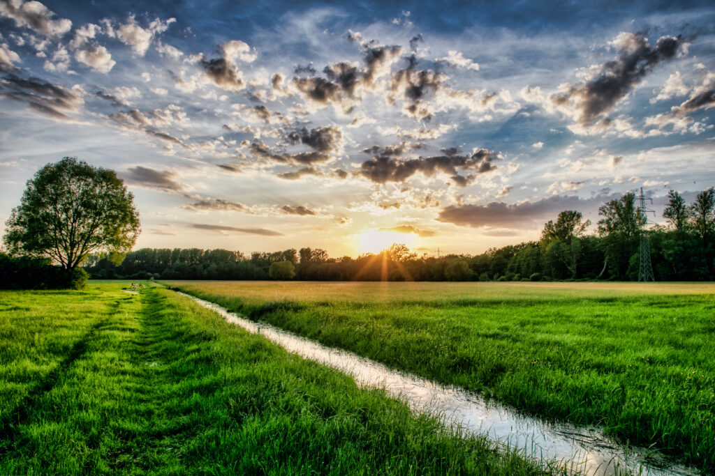 Blick auf ein Feld und Fluss bei Abendsonne