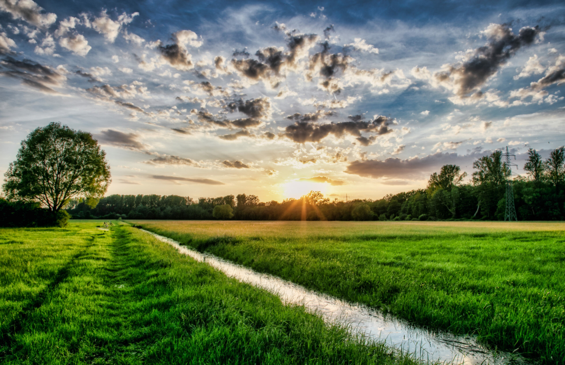 Blick auf ein Feld und Fluss bei Abendsonne