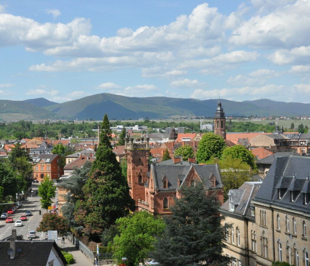 Ansicht einer Stadt mit Häusern und Bäumen aus der Vogelperspektive