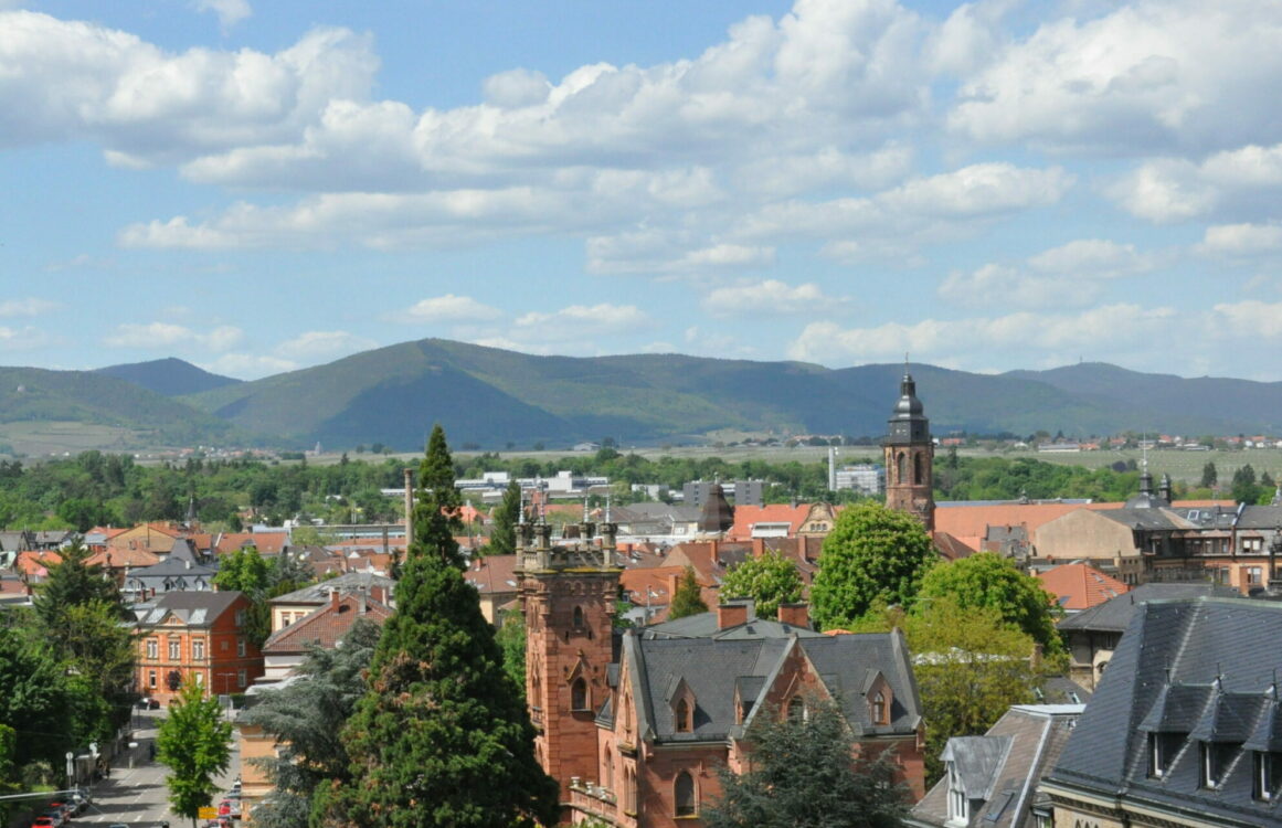 Ansicht einer Stadt mit Häusern und Bäumen aus der Vogelperspektive