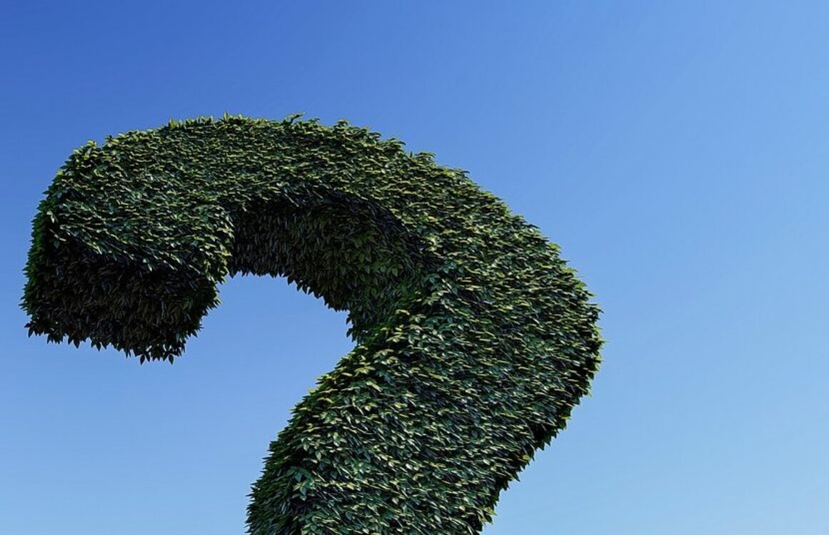 Große Heckenpflanze in Form eines Fragezeichens